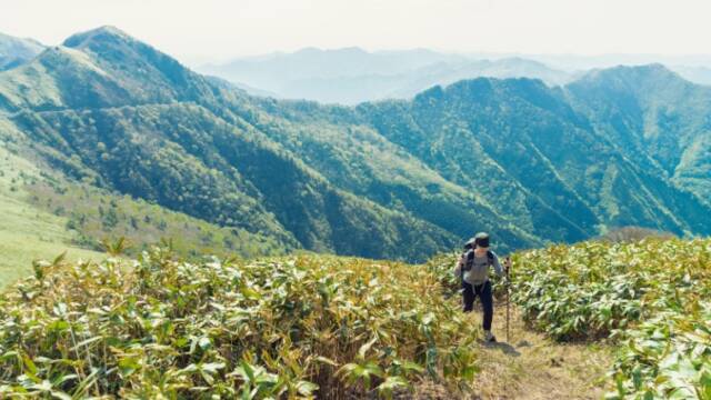 トレッキング　登山